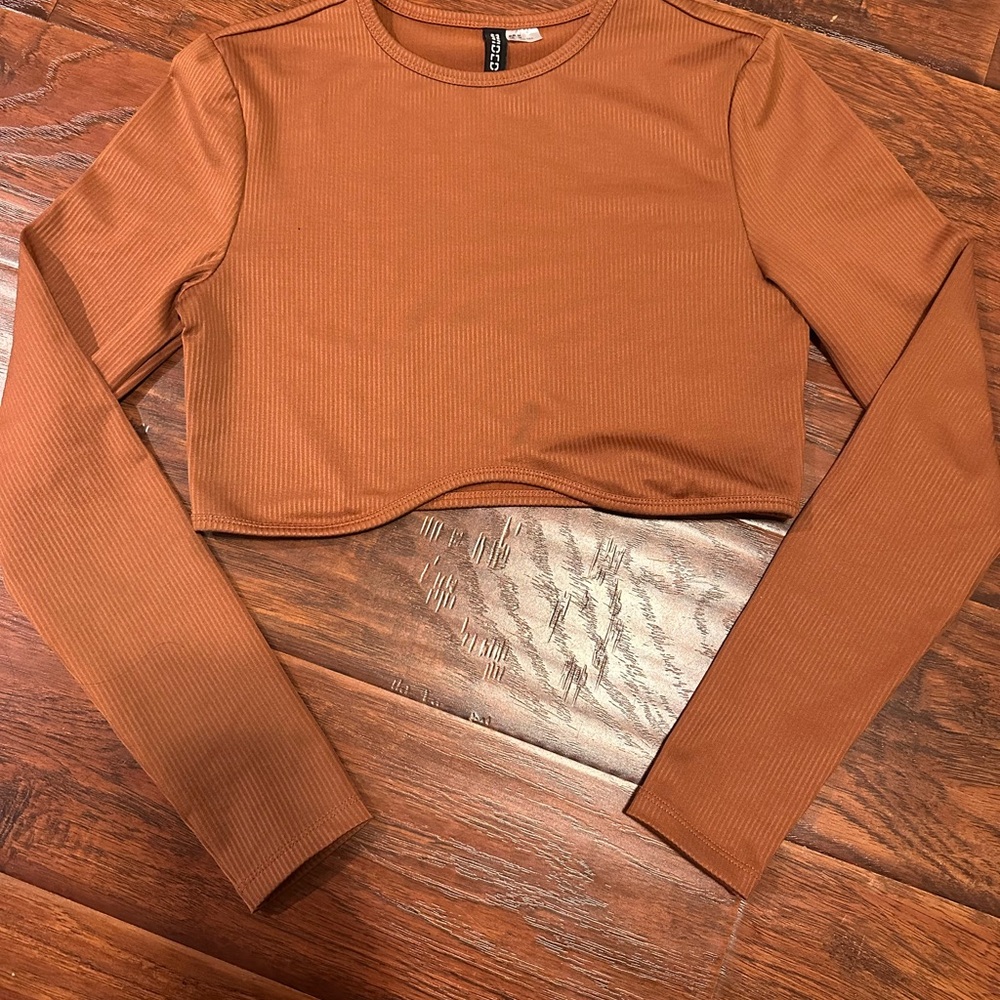 H&M Brown Long Sleeve Fitted Crop Tee